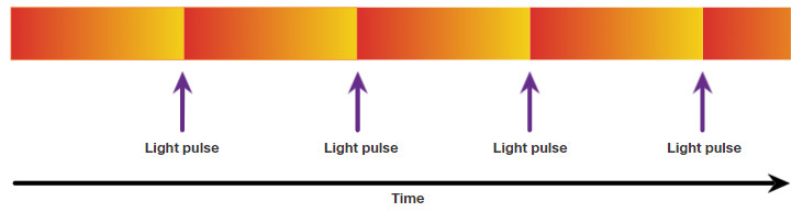 Pasted image 20260127074115.png